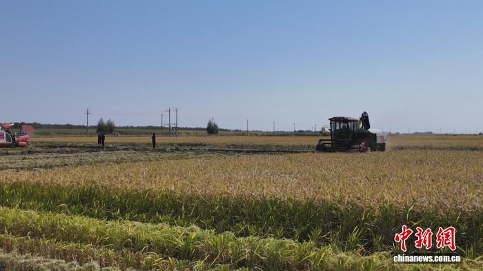 精彩赛事集锦 - 小九直播